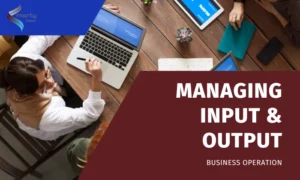 What is input and Output VAT