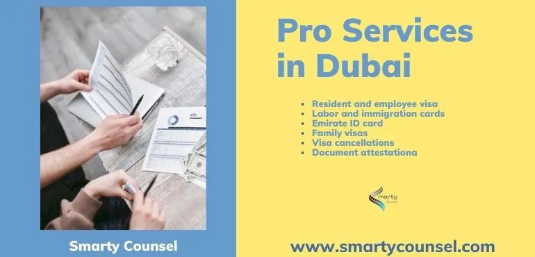 Pro Services in Dubai